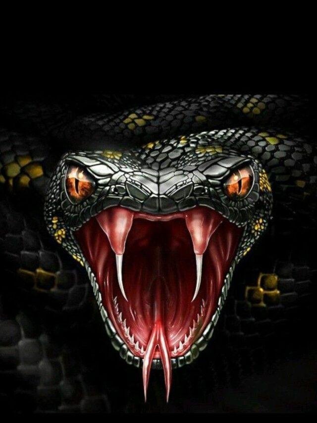 “King Cobra Secrets: Hidden Species & Untold Dangers”
